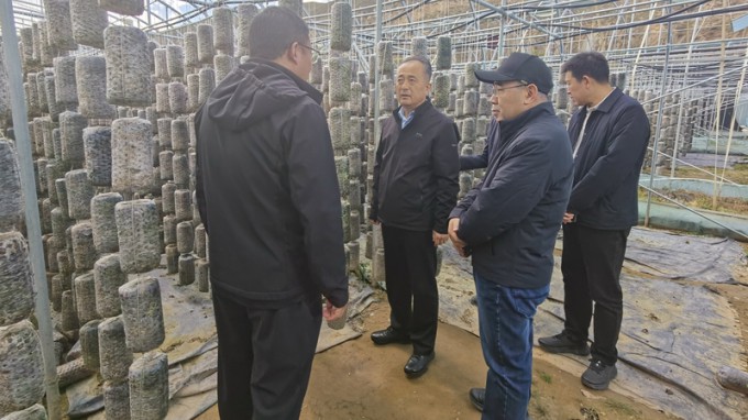 甘肅工程咨詢集團(tuán)赴卓尼縣開(kāi)展鄉(xiāng)村振興幫扶調(diào)研暨結(jié)對(duì)關(guān)愛(ài)工作